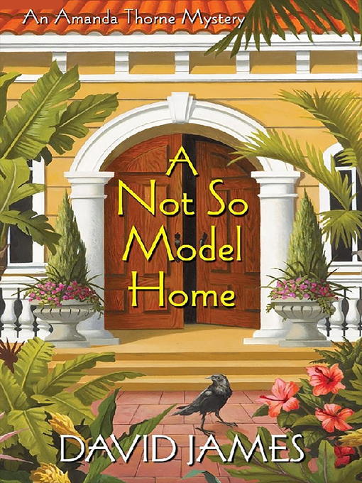 Title details for A Not So Model Home by David James - Available